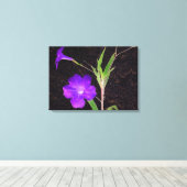 メキシカンペチュニアパープル キャンバスプリント (インサイチュ (ウッドフロア))