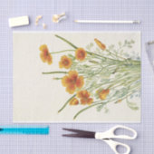 メキシカンポピー(Mary Vaux Walcott) 薄葉紙 (クラフト)