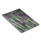 メキシカンラベンダー ノートブック (右側)