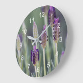 メキシカンラベンダー ラージ壁時計 (傾斜)