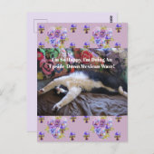 メキシコおもしろいンの波に乗ってかわいいタキシード猫引用文 ポストカード (正面/裏面)