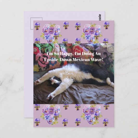 メキシコおもしろいンの波に乗ってかわいいタキシード猫引用文 ポストカード (正面/裏面)