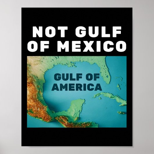 メキシコおもしろい湾ではなくアメリカ湾を切り詰める1 ポスター (正面)