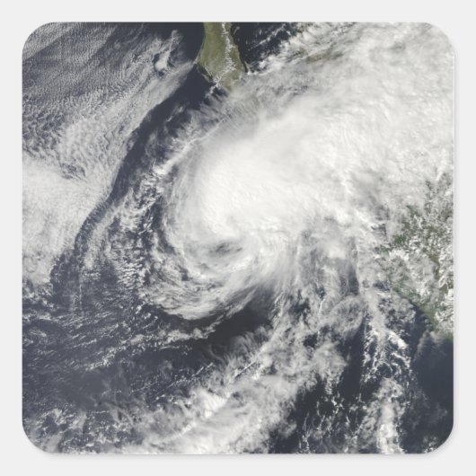 メキシコに接近する熱帯性嵐リック スクエアシール (正面)