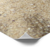 メキシコのカメヒネのタランチュラクモ ポスター (角)