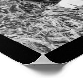 メキシコのギタープレーヤー1904 ポスター (角)