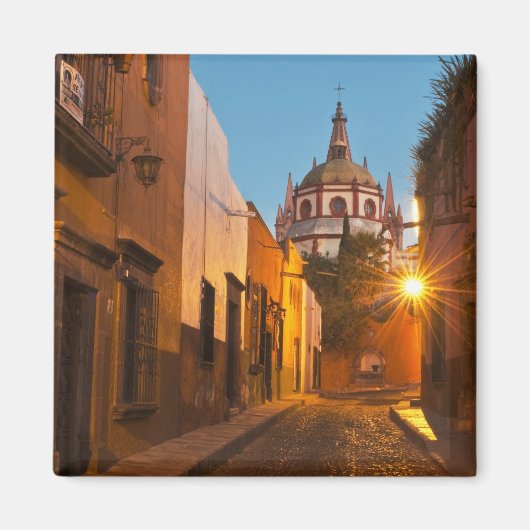 メキシコのサン・ミゲル・デ・アレンデ。クレジット：ナンシー マグネット (正面)