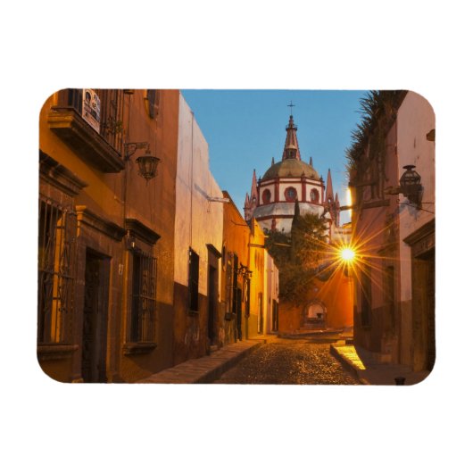 メキシコのサン・ミゲル・デ・アレンデ。クレジット：ナンシー マグネット (横)