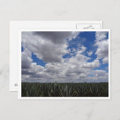 メキシコのジャリスコにあるブルーアガヴェテキラパラダイス ポストカード (正面/裏面)