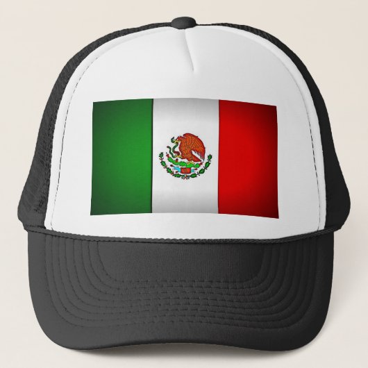 メキシコのスタイリッシュな国旗 キャップ (正面)