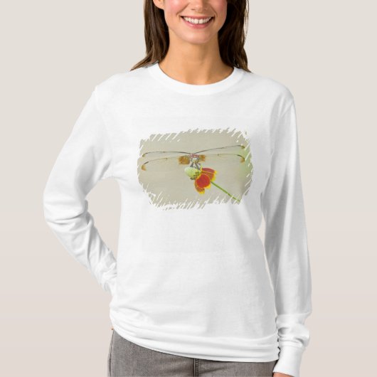 メキシコのチェック柄のSetwing (Dythemis fugax) Tシャツ (正面)