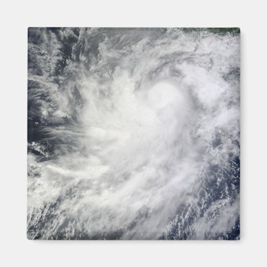 メキシコのハリケーンフランク マグネット (正面)