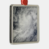 メキシコのハリケーンフランク メタルオーナメント (右)