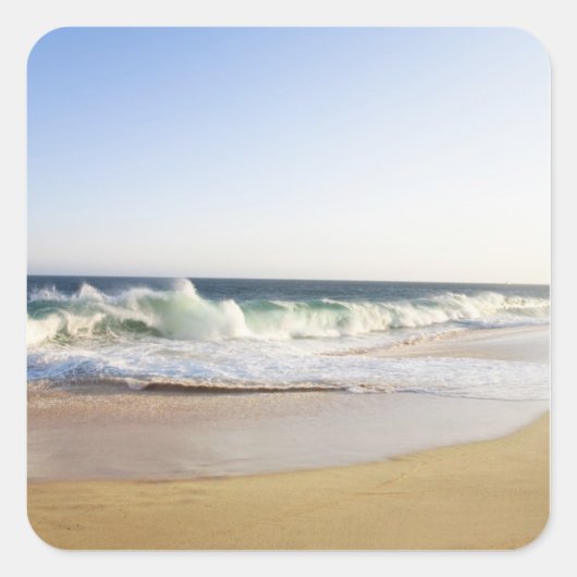 メキシコのバジャカリフォルニアシュールCabo San Lucas - スクエアシール (正面)