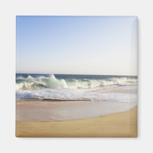 メキシコのバジャカリフォルニアシュールCabo San Lucas - マグネット (正面)