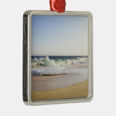 メキシコのバジャカリフォルニアシュールCabo San Lucas - メタルオーナメント (右)