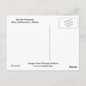 メキシコのバハ・カリフォルニアシュル島サンフランシスコ ポストカード (裏面)