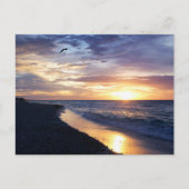 メキシコのビーチでの穏やかな日の出 ポストカード (正面)