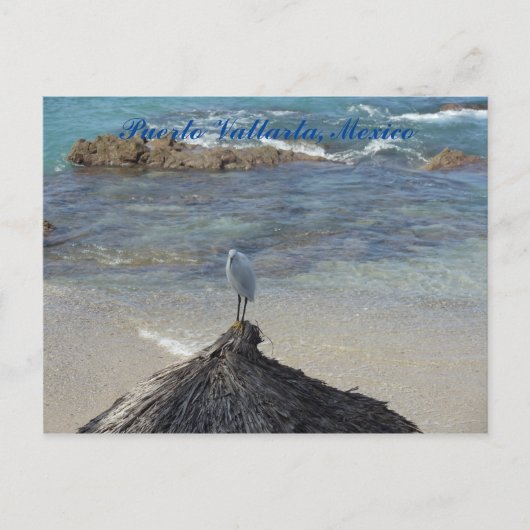 メキシコのプエルトバ, ガルサ・ブランカ ポストカード (正面)