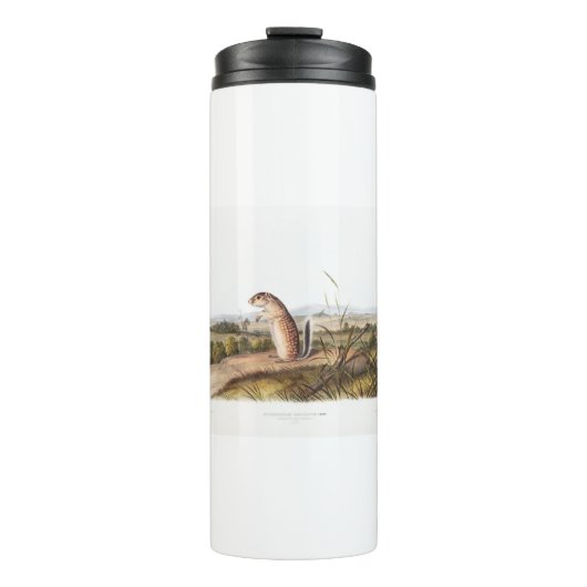 メキシコのマーモトリスのキャンピングデコギフト タンブラー (正面)