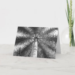 メキシコのヤシの木の陰 カード
