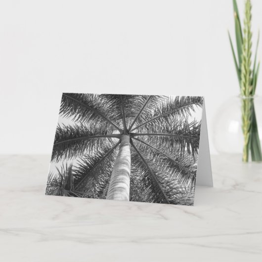 メキシコのヤシの木の陰 カード (正面)