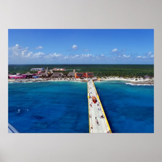 メキシコのリビエラ ポスター (正面)