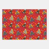 メキシコのルチャドールのベアーズレスラーコスチューム ラッピングペーパーシート (正面)