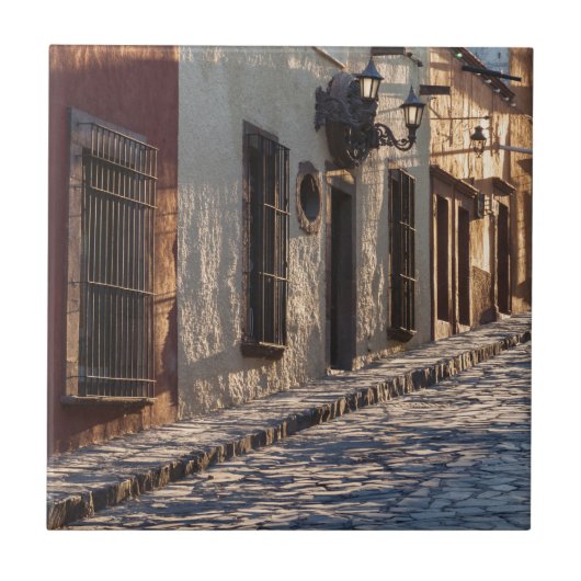 メキシコの丸石の街路 タイル (正面)