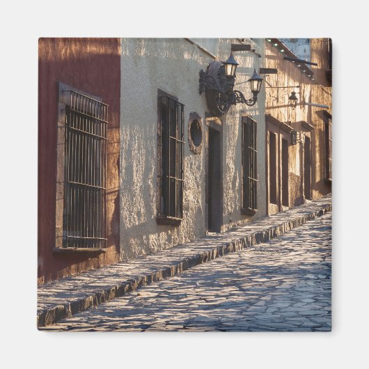メキシコの丸石の街路 マグネット (正面)