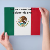 メキシコの国旗がプリントされたチラシ チラシ (手)