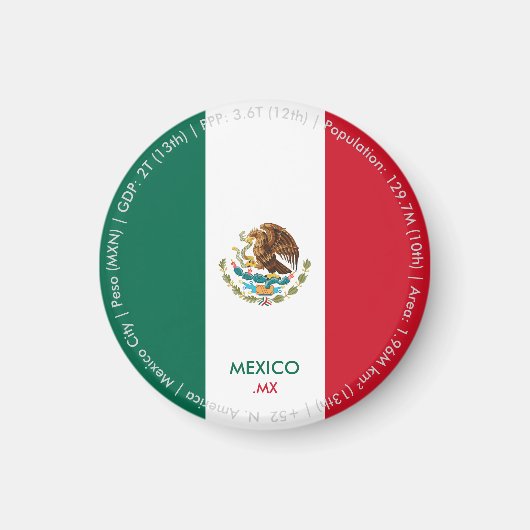 メキシコの国旗マグネット マグネット (正面)