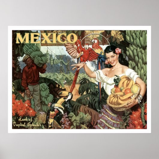 メキシコの女性と熱帯の果物とオウム ポスター (正面)