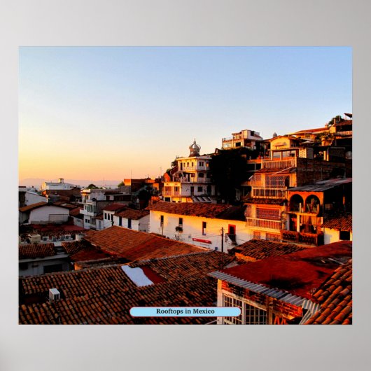 メキシコの屋上 ポスター (正面)