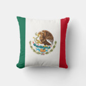メキシコの旗 クッション (正面)