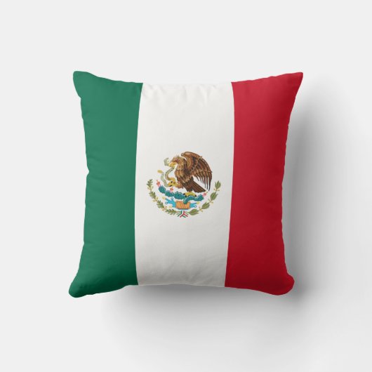 メキシコの旗 クッション (裏面)