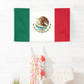 メキシコの旗 横断幕 (インサイチュ)