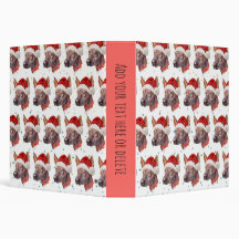 メキシコの毛のない犬がクリスマススターを育てる