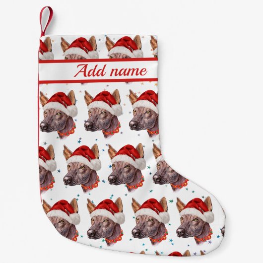 メキシコの毛のない犬がクリスマススターを育てる スモールクリスマスストッキング (正面)