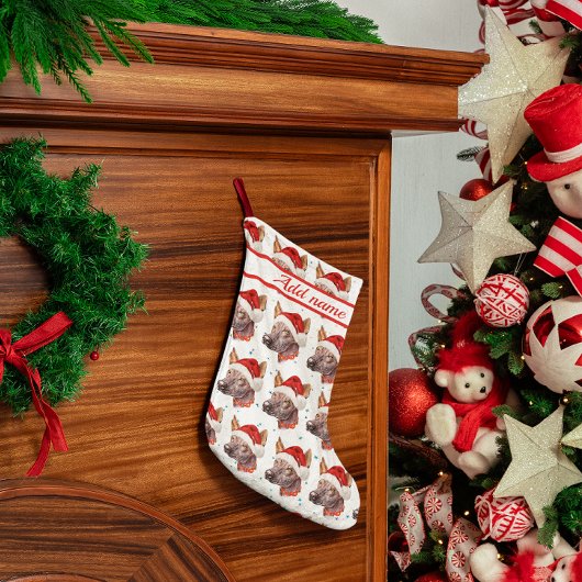 メキシコの毛のない犬がクリスマススターを育てる スモールクリスマスストッキング