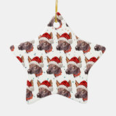 メキシコの毛のない犬がクリスマススターを育てる セラミックオーナメント (正面)