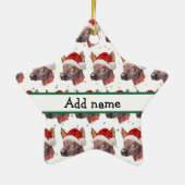 メキシコの毛のない犬がクリスマススターを育てる セラミックオーナメント (裏面)