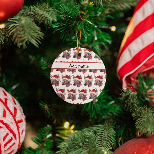 メキシコの毛のない犬がクリスマススターを育てる セラミックオーナメント