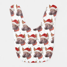 メキシコの毛のない犬がクリスマススターを育てる