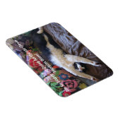 メキシコの波の磁石が可愛いFunnyTuxedo Cat マグネット (右側)