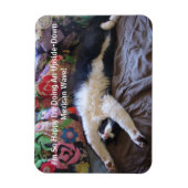 メキシコの波の磁石が可愛いFunnyTuxedo Cat マグネット (縦)