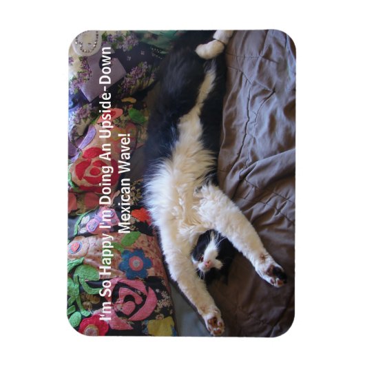メキシコの波の磁石が可愛いFunnyTuxedo Cat マグネット (縦)