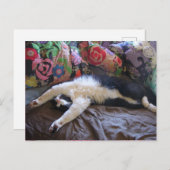 メキシコの波はがきを手に入れたキュートなタキシード猫 ポストカード (正面/裏面)