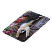 メキシコの波はがきを手に入れたキュートなタキシード猫 マグネット (左側)