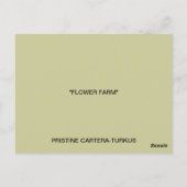 メキシコの町のはがき ポストカード (裏面)